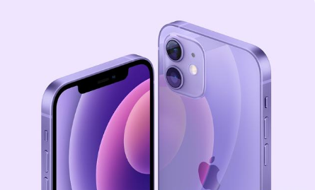 大观苹果手机维修分享紫色版iPhone 12有什么技术亮点 